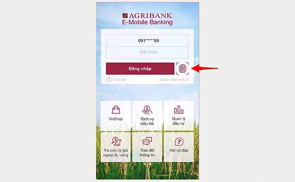 Mở ứng dụng Agribank